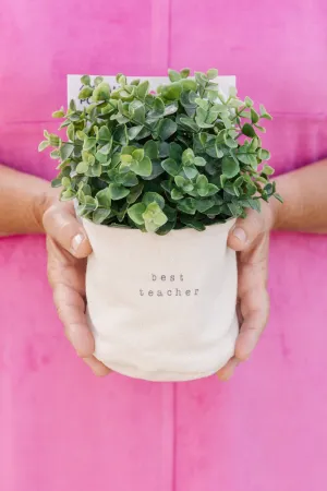 4" Planter
